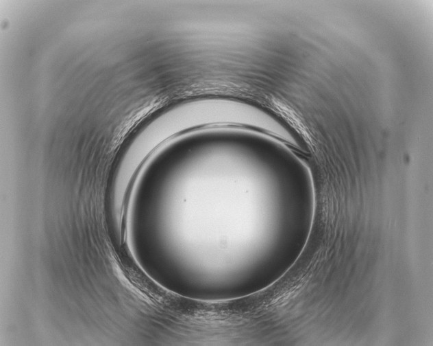 X0000086980538200704231822