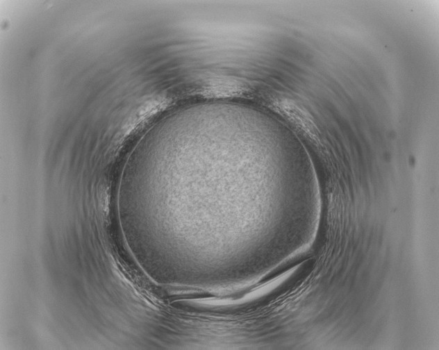 X0000086980539200704231822