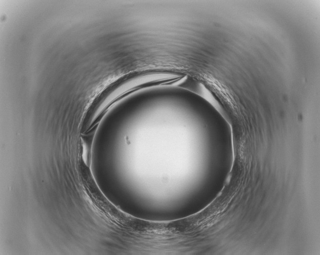 X0000086980540200704231822