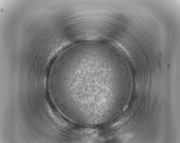 X0000086980542200704231822