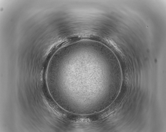 X0000086980543200704231822