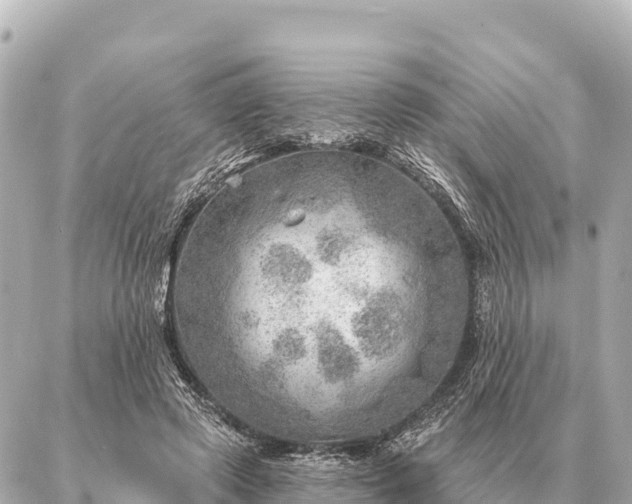 X0000086980545200704231822