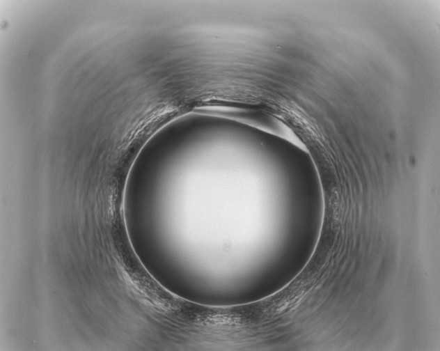 X0000086980546200704231822