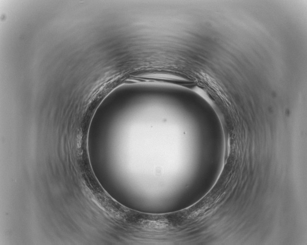 X0000086980548200704231822