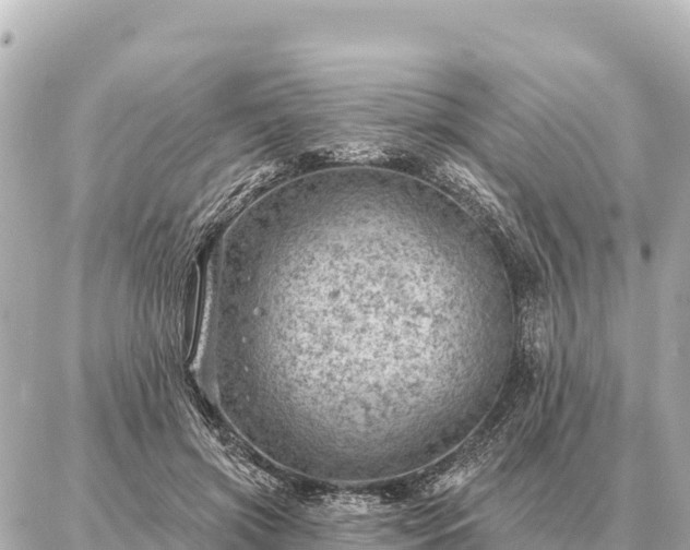 X0000086980549200704231822