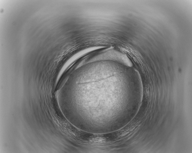 X0000086980551200704231822