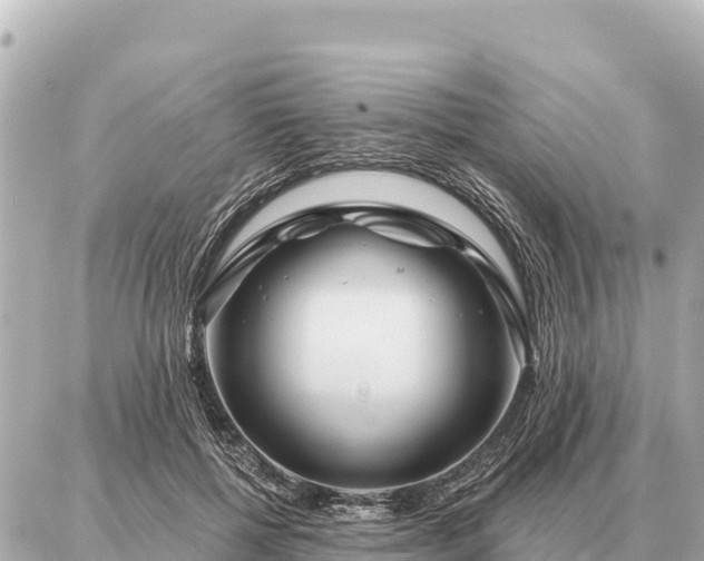 X0000086980552200704231822