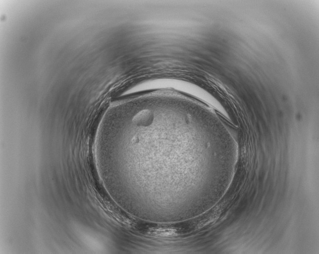 X0000086980554200704231822