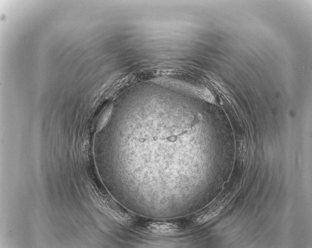 X0000086980557200704231822