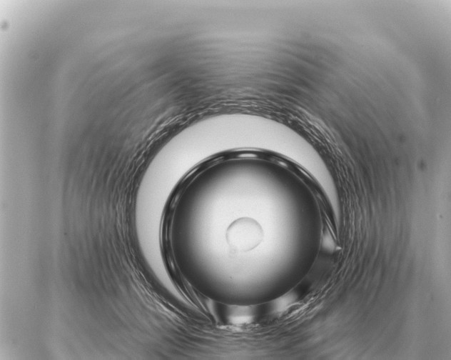 X0000086980558200704231822