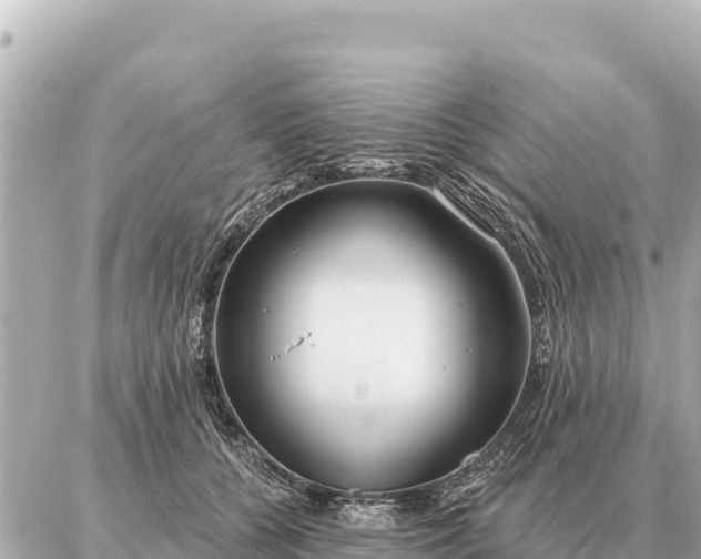 X0000086980560200704231822