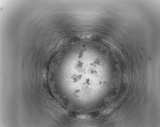 X0000086980561200704231822