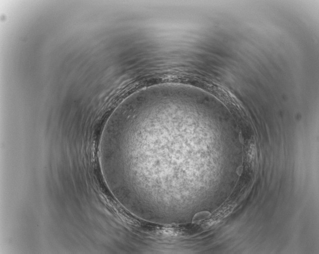 X0000086980565200704231822