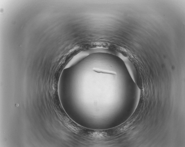 X0000086980566200704231822