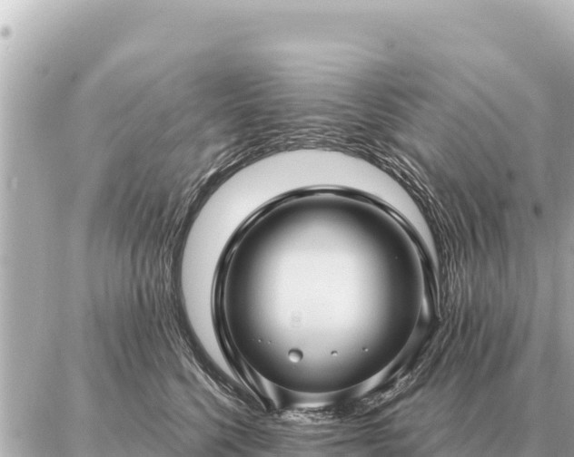 X0000086980568200704231822