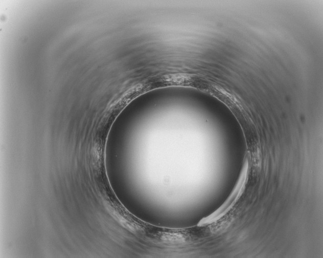 X0000086980572200704231822