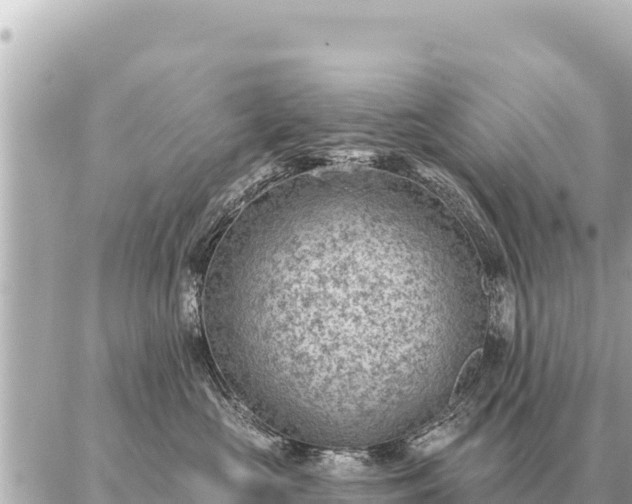 X0000086980573200704231822