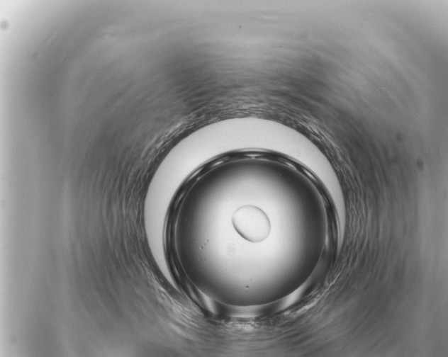 X0000086980574200704231822