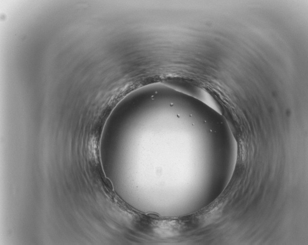 X0000086980575200704231822