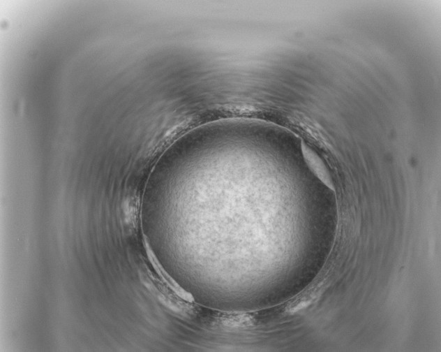 X0000086980576200704231822