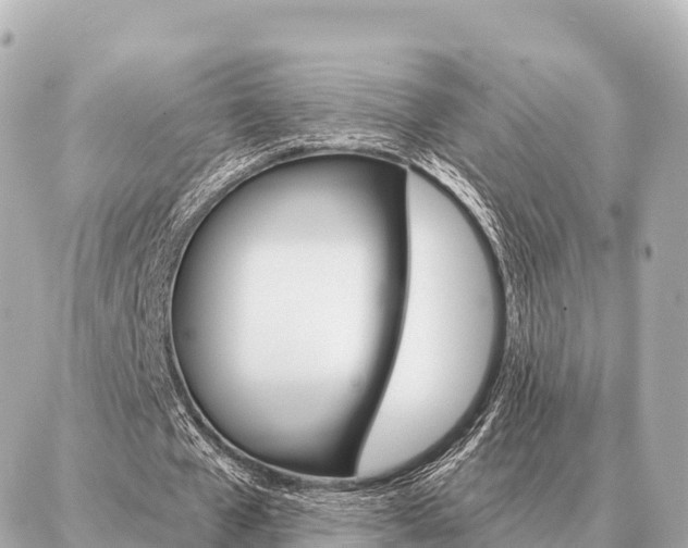 X0000086980577200704231822