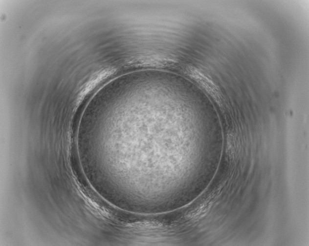 X0000086980578200704231822