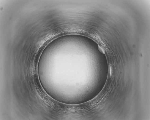 X0000086980579200704231821