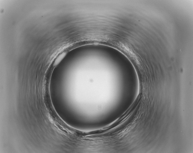 X0000086980580200704231821