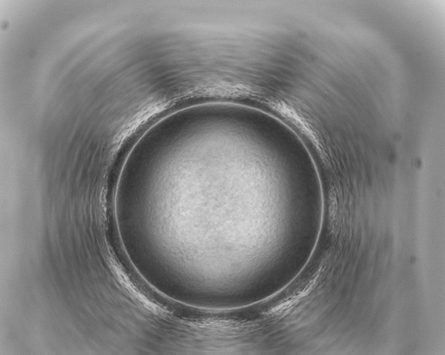 X0000086980581200704231821