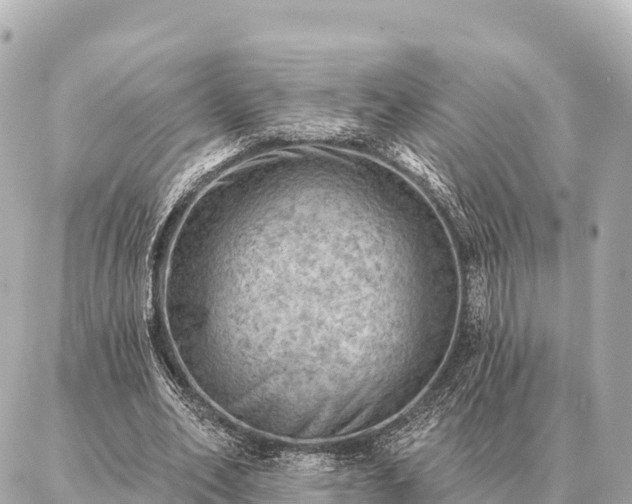 X0000086980582200704231821