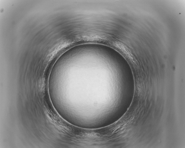 X0000086980583200704231821