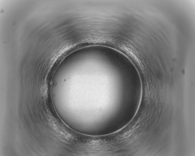 X0000086980584200704231821