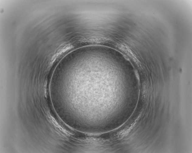 X0000086980585200704231821