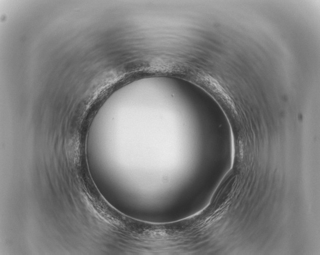 X0000086980588200704231821