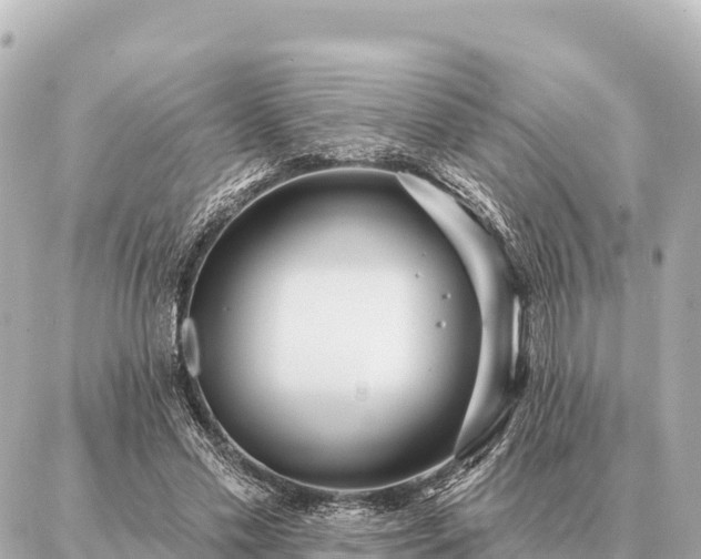 X0000086980589200704231821