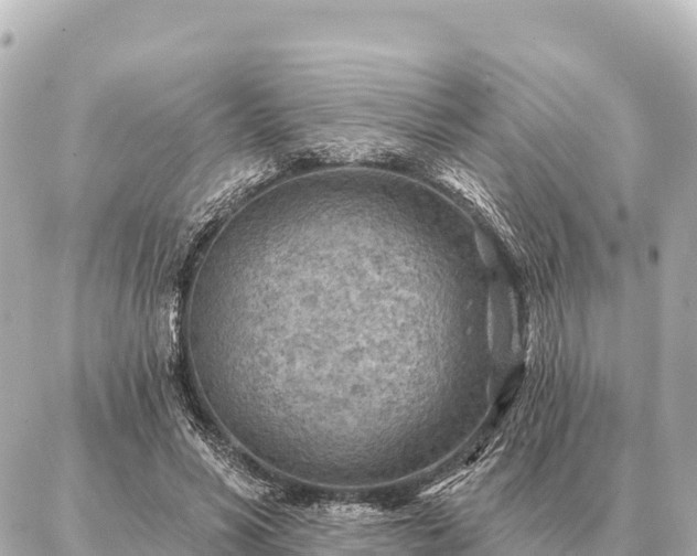 X0000086980590200704231821