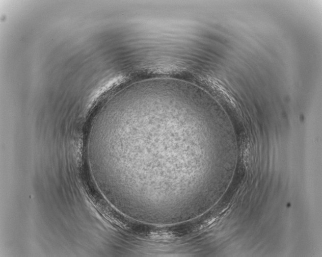 X0000086980591200704231821