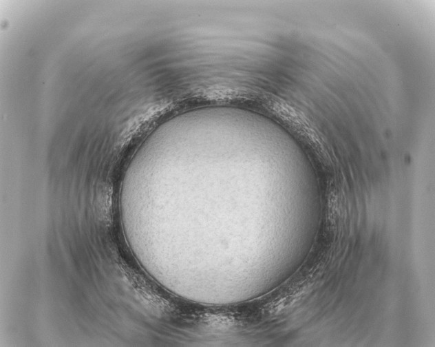 X0000086980592200704231821