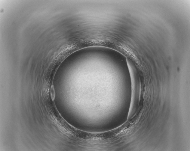 X0000086980593200704231821