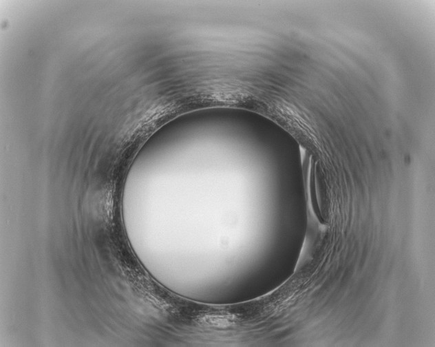 X0000086980595200704231821