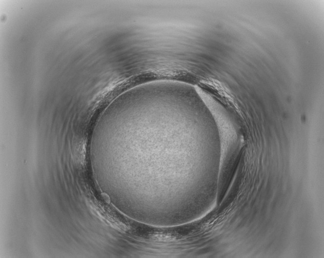 X0000086980596200704231821