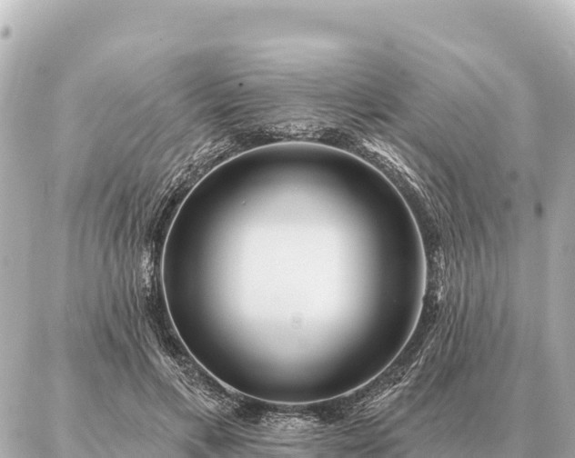 X0000086980597200704231821