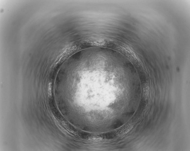 X0000086980598200704231821