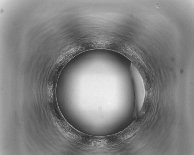 X0000086980599200704231821