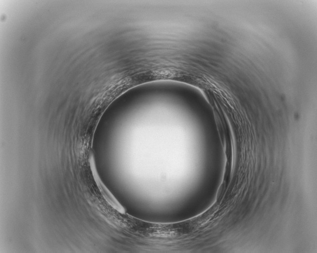 X0000086980601200704231821