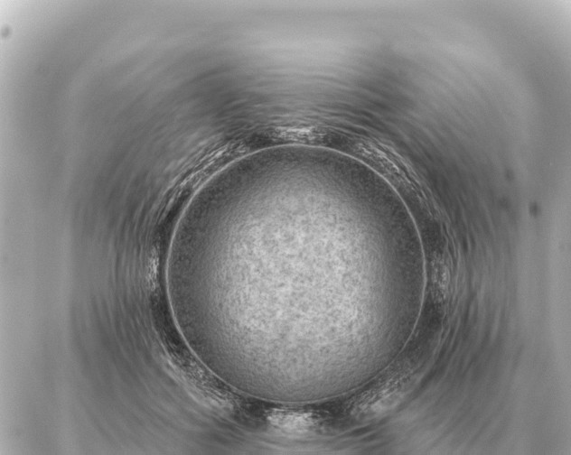 X0000086980602200704231821