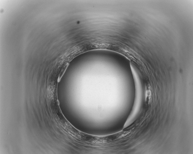 X0000086980604200704231821