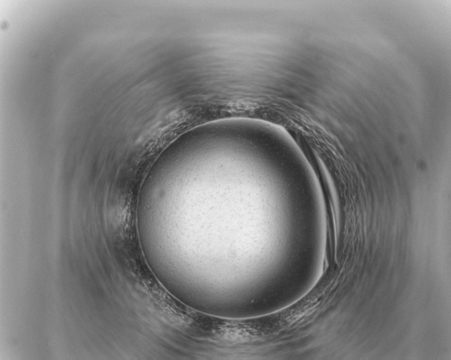 X0000086980608200704231821