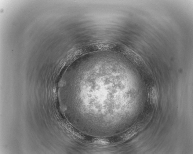 X0000086980610200704231821