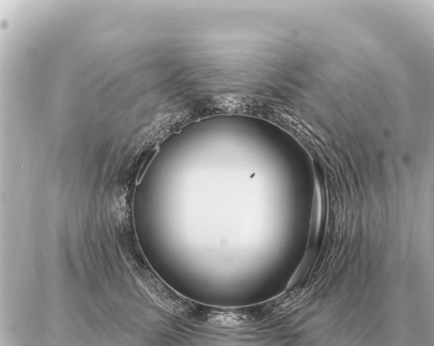 X0000086980611200704231821